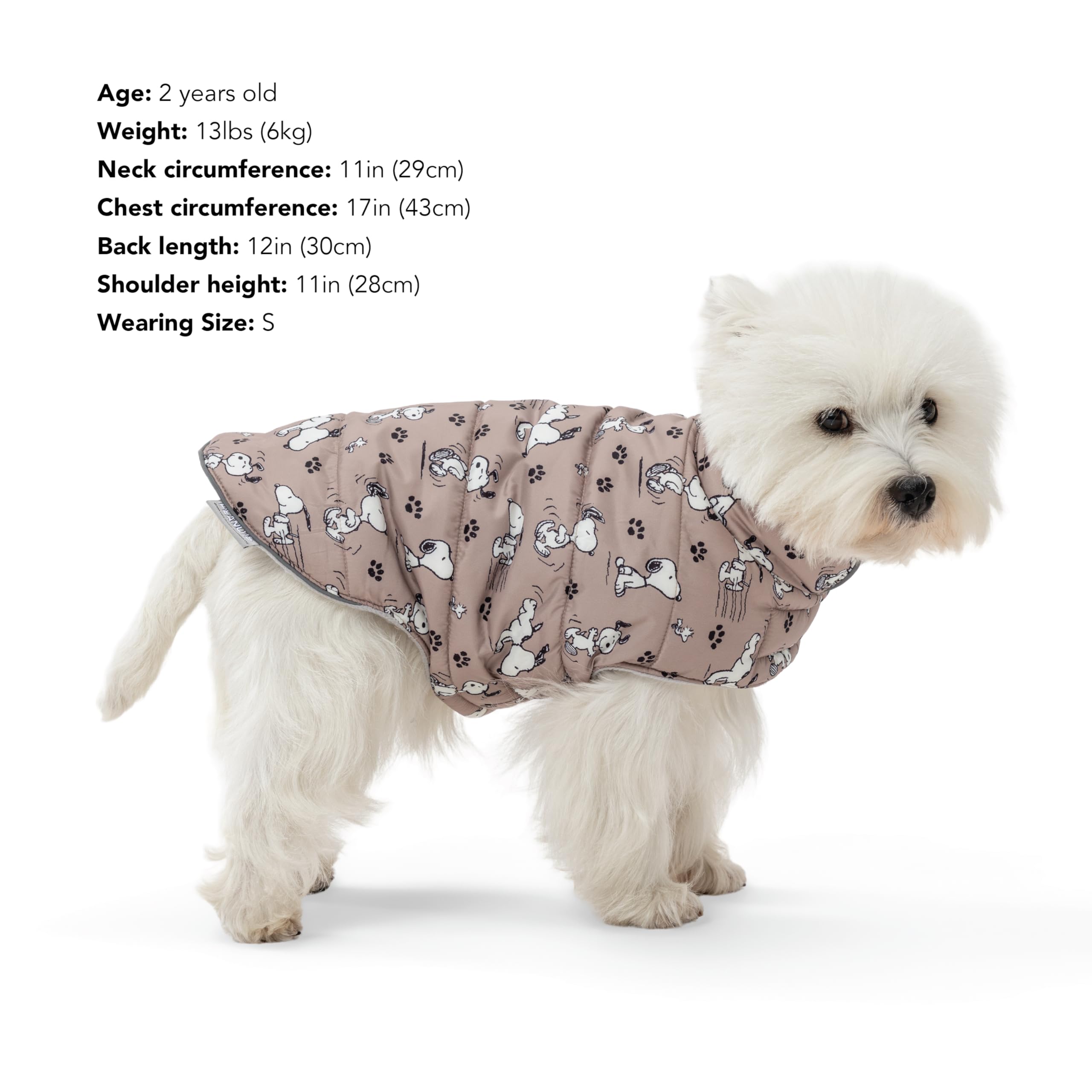 Manteau Berkshire Peanuts, spécialement conçu pour extralarge et sorties tout-terrain.