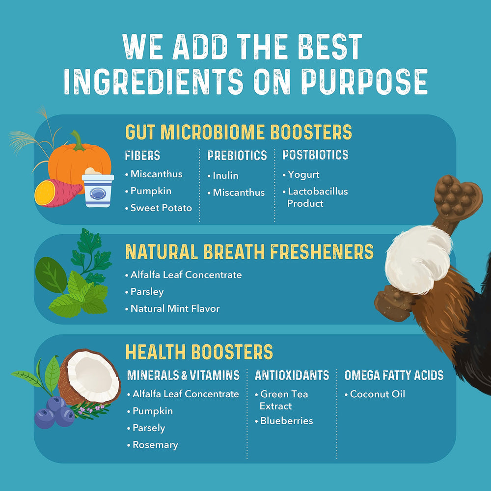 Bernie's Machoires Charmantes – contient probiotiques et postbiotiques pour l'équilibre intestinal.