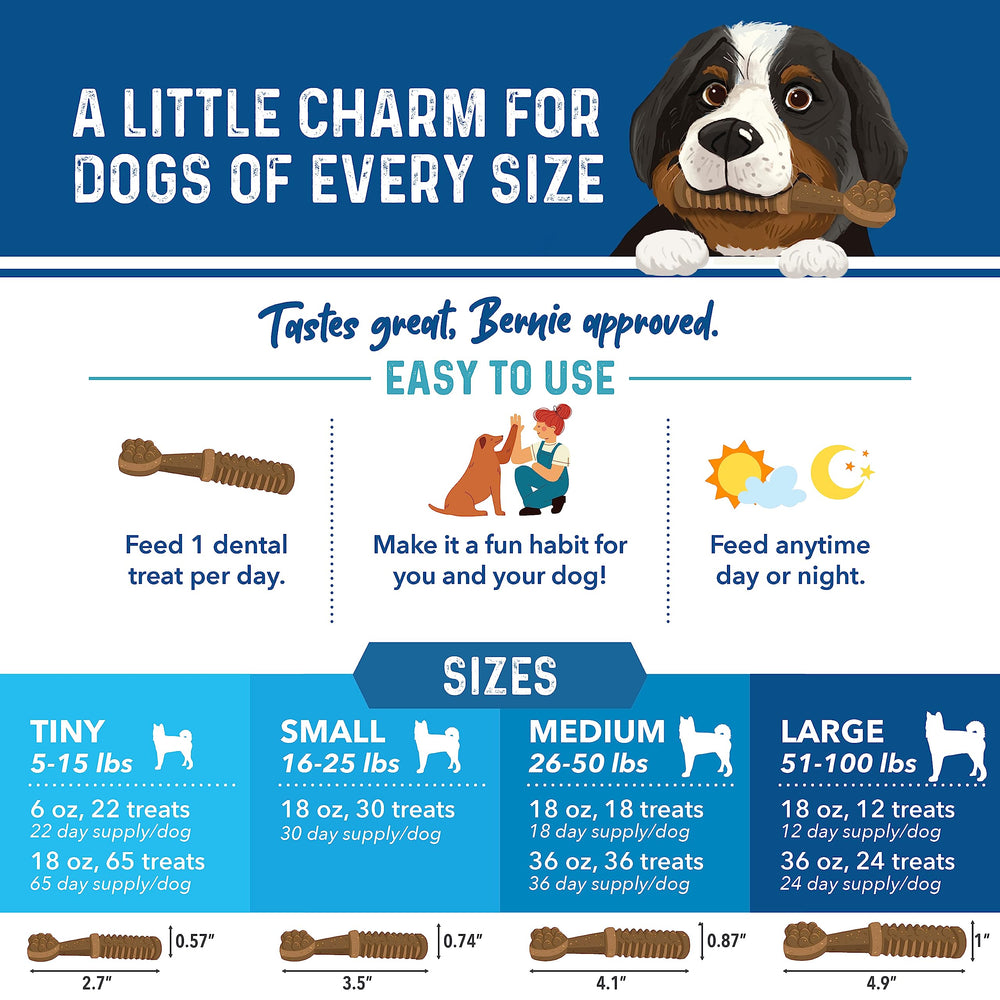 Bernie's Charming Chompers: friandises dentaires faciles, usage quotidien pour chiens.