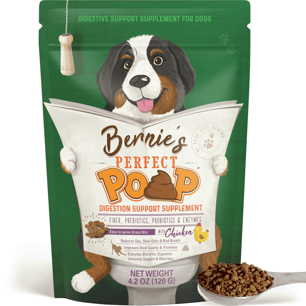 Bernie's Digestion Chien sachet poudre favorise digestion douce