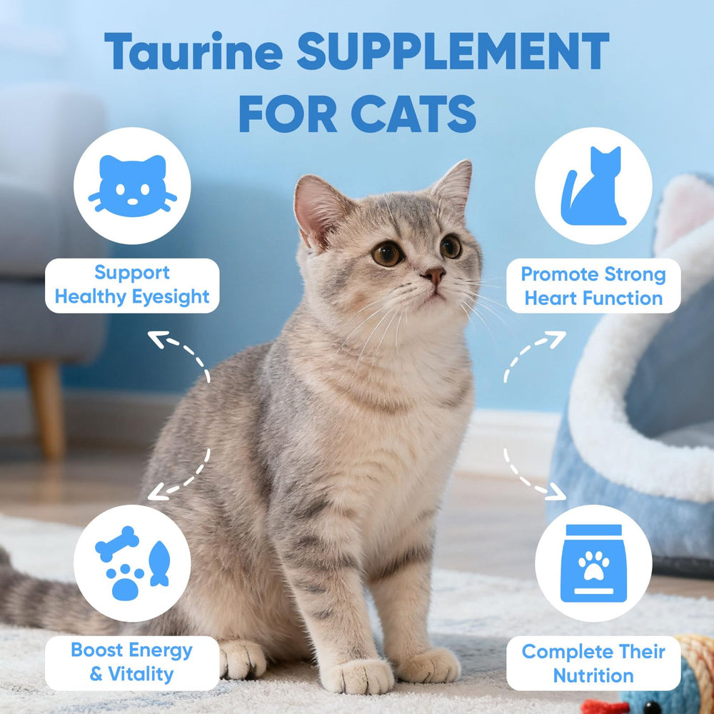 Doseur inclus facilitant l’ajout de KittySupps Taurine BERSEG dans les repas.