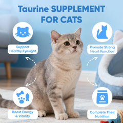 Doseur inclus facilitant l’ajout de KittySupps Taurine BERSEG dans les repas.