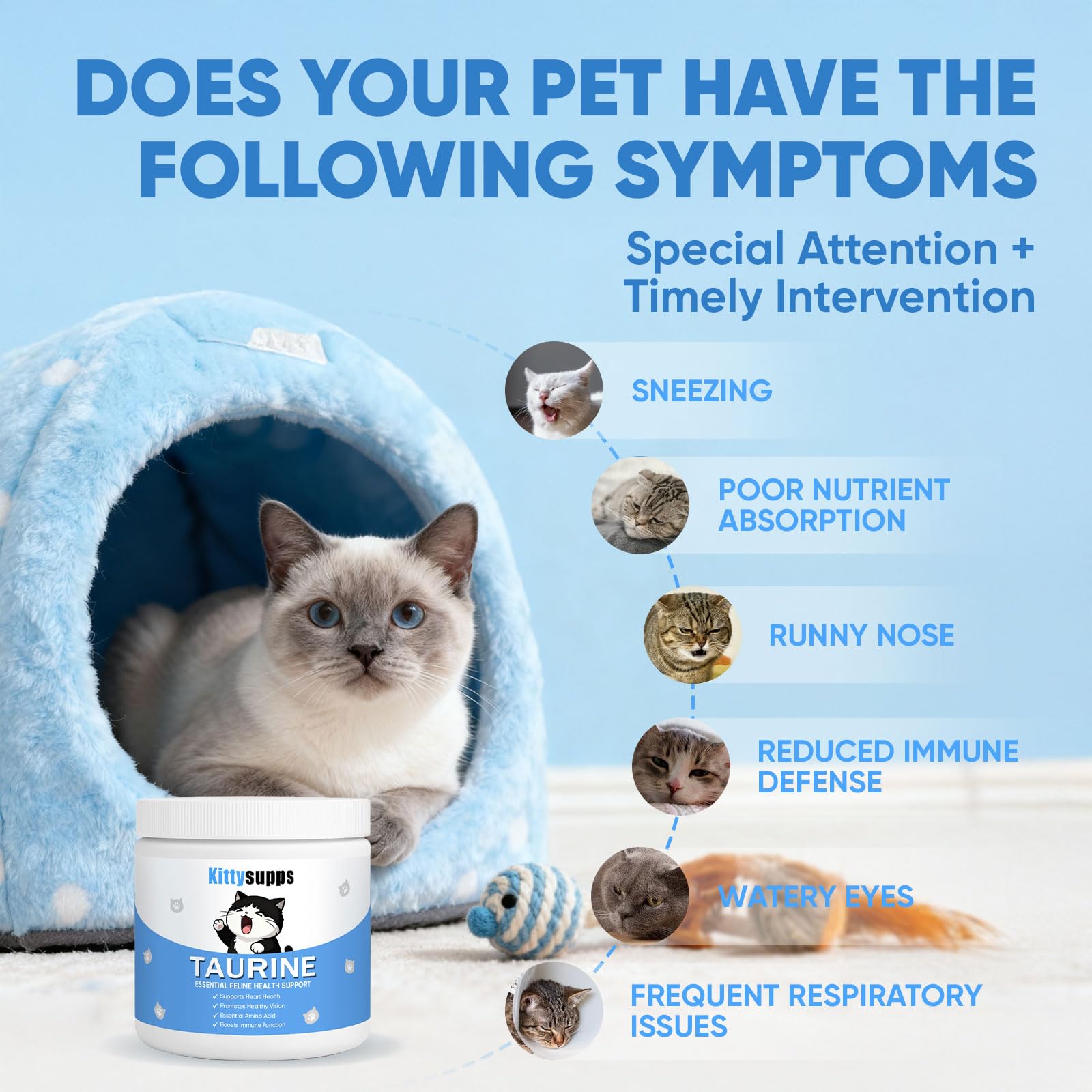 KittySupps Taurine BERSEG mélangé à une nourriture humide pour plus de simplicité.