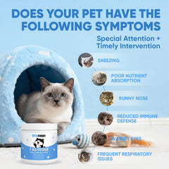 KittySupps Taurine BERSEG mélangé à une nourriture humide pour plus de simplicité.
