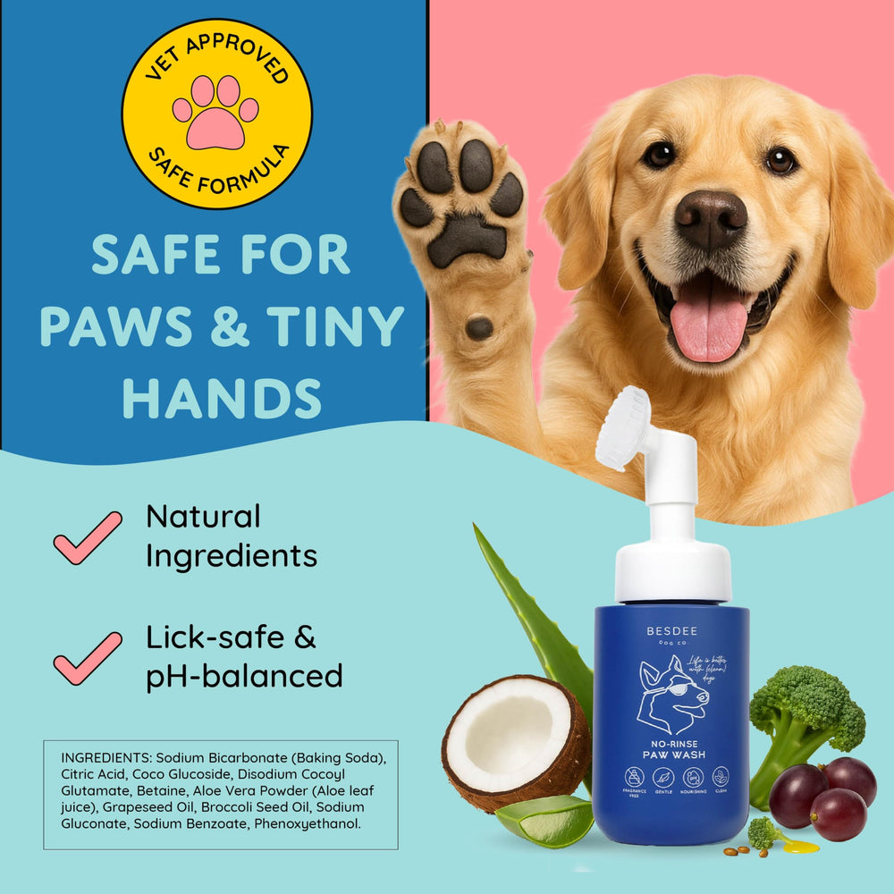 Serviettes ultra-douces Besdee Dog Co pour essuyer pattes
