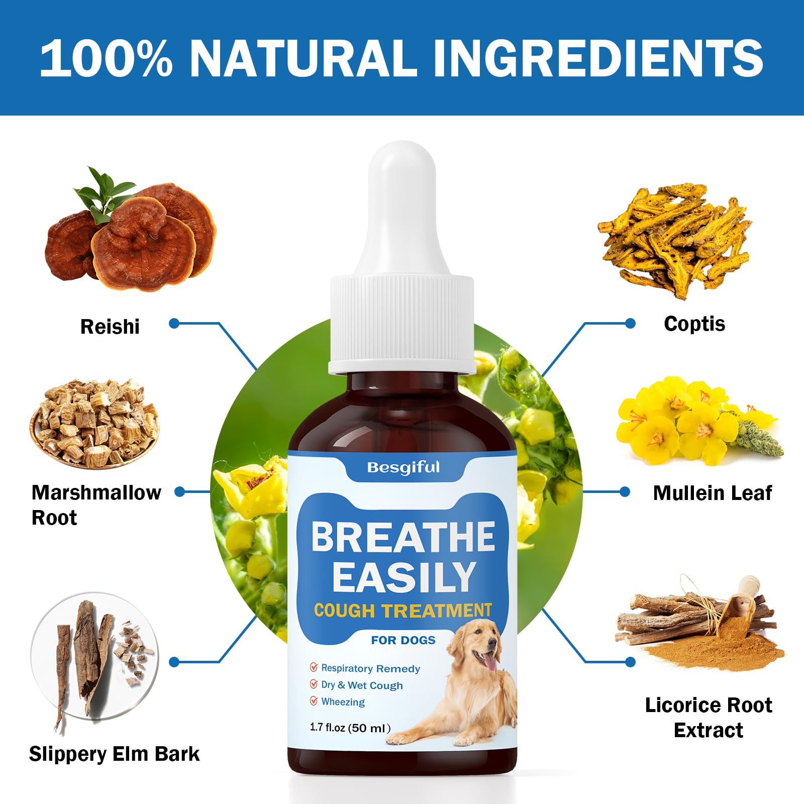 Besgiful ingrédients-herbaux-trachée: mélange naturel de plantes pour le confort aérien du chien.