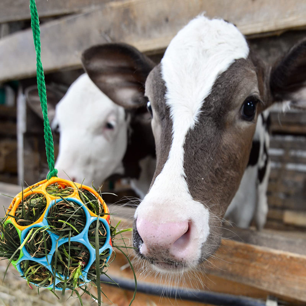 Balle pour forage Besimple adaptée pour cheval et chèvre, accrochée dans l’enclos.