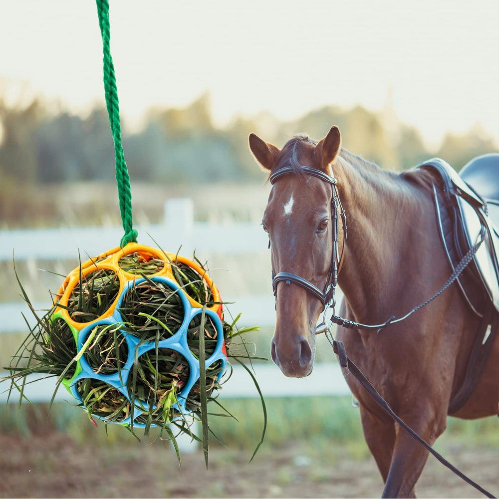 Jouet suspendu Besimple pour cheval dans le paddock, divertissement durable.