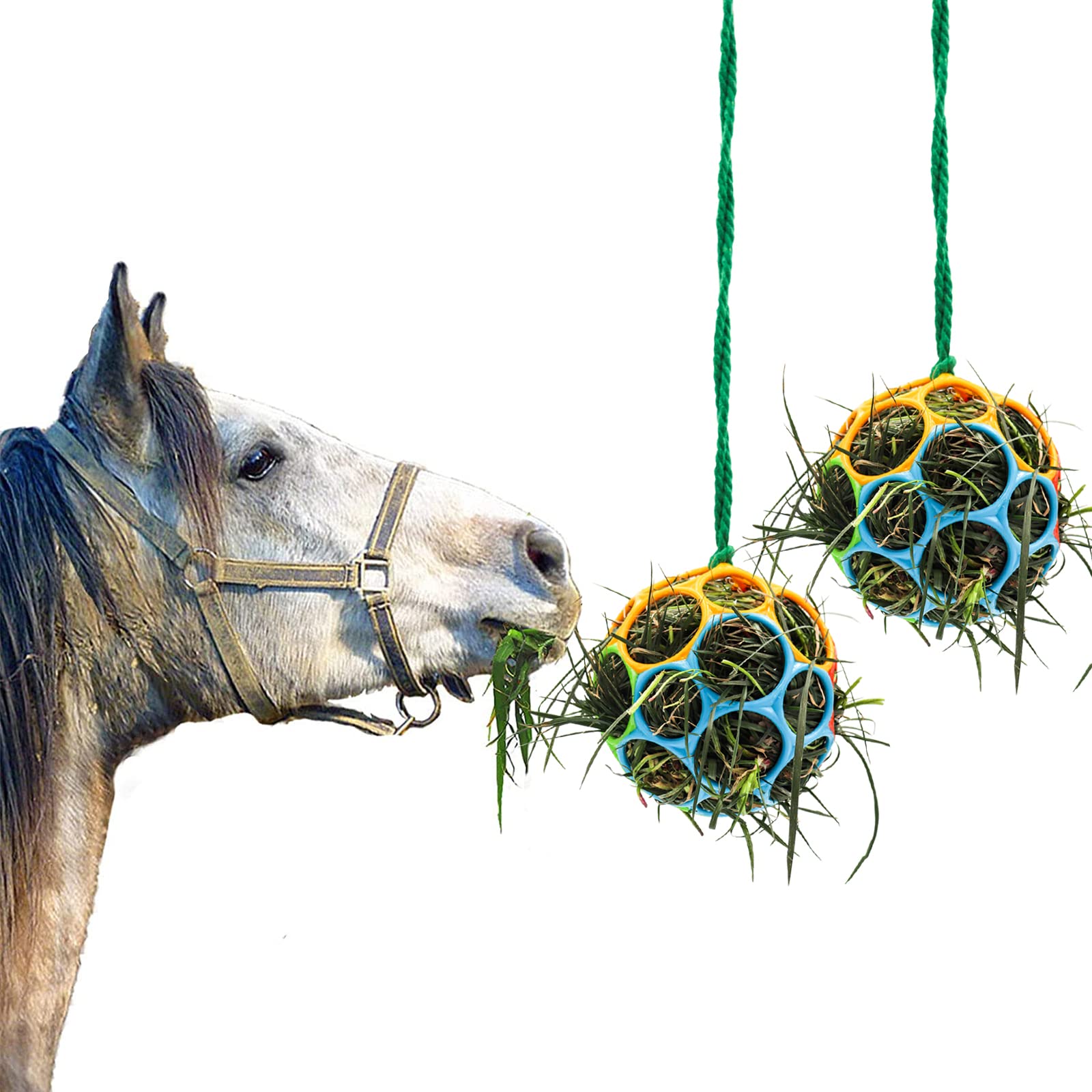 Besimple balle nourrissage accrochée dans l'écurie, stimulation du forage pour cheval.