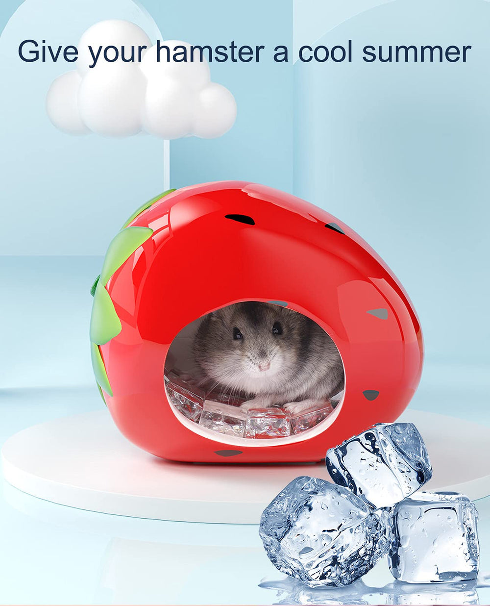 Besimple Hamster Maison Biberon: design unique pour garder le petit compagnon près.