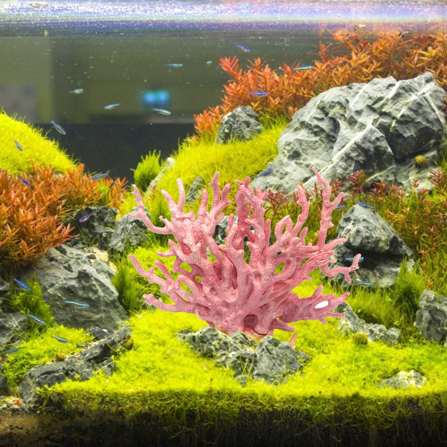 Corail artificiel Besimple dans les dimensions roses pour aquarium