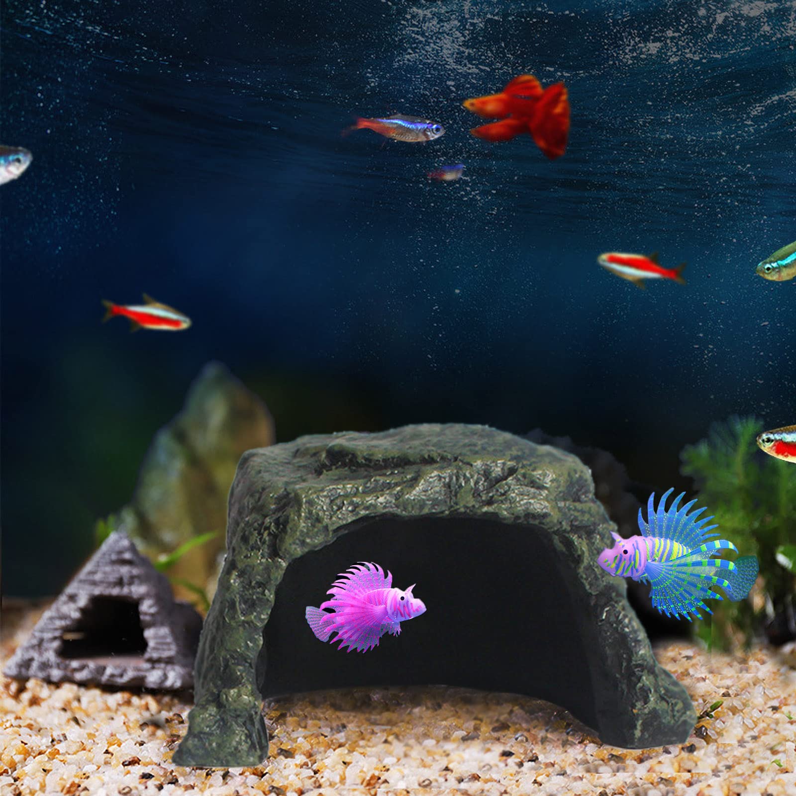 Besimple decor-habitat-aquarium-1 – décor coloré qui anime le bac
