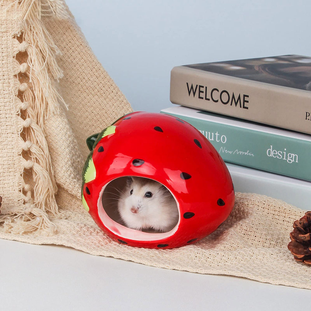 Besimple Hamster Maison Exterieur: habitat ludique à placer dans la cage.