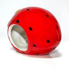 Besimple Hamster Maison Fraise: nid adorable pour se reposer et jouer.