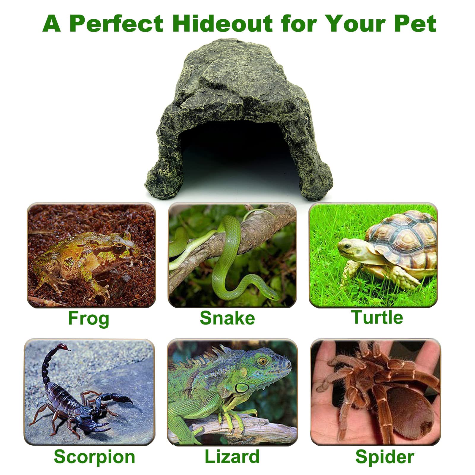 Besimple usage-habitat-aquarium-1 – offre passages et cachettes sans surcharger le décor