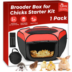 Besly boîte d'élevage pour poussins, espace sûr et spacieux