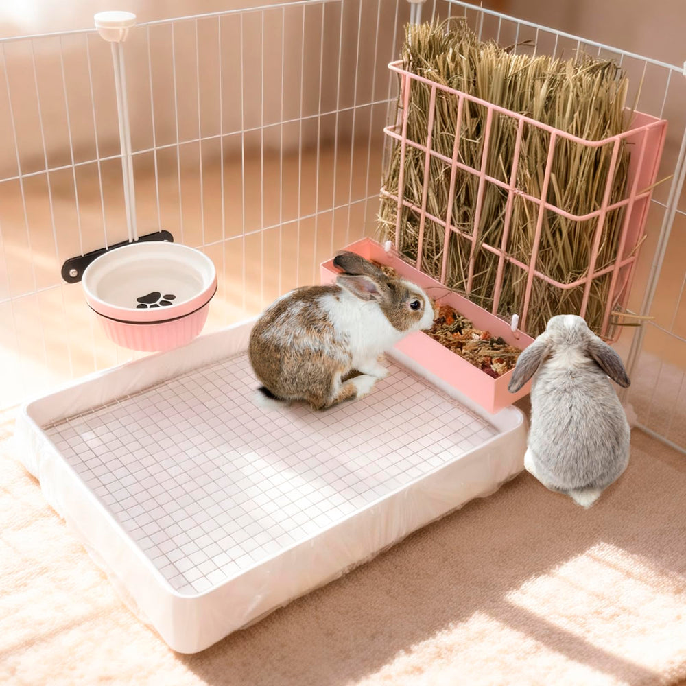 BESNEW grande capacité foin accès, alimentation continue pour lapin et petit animal.