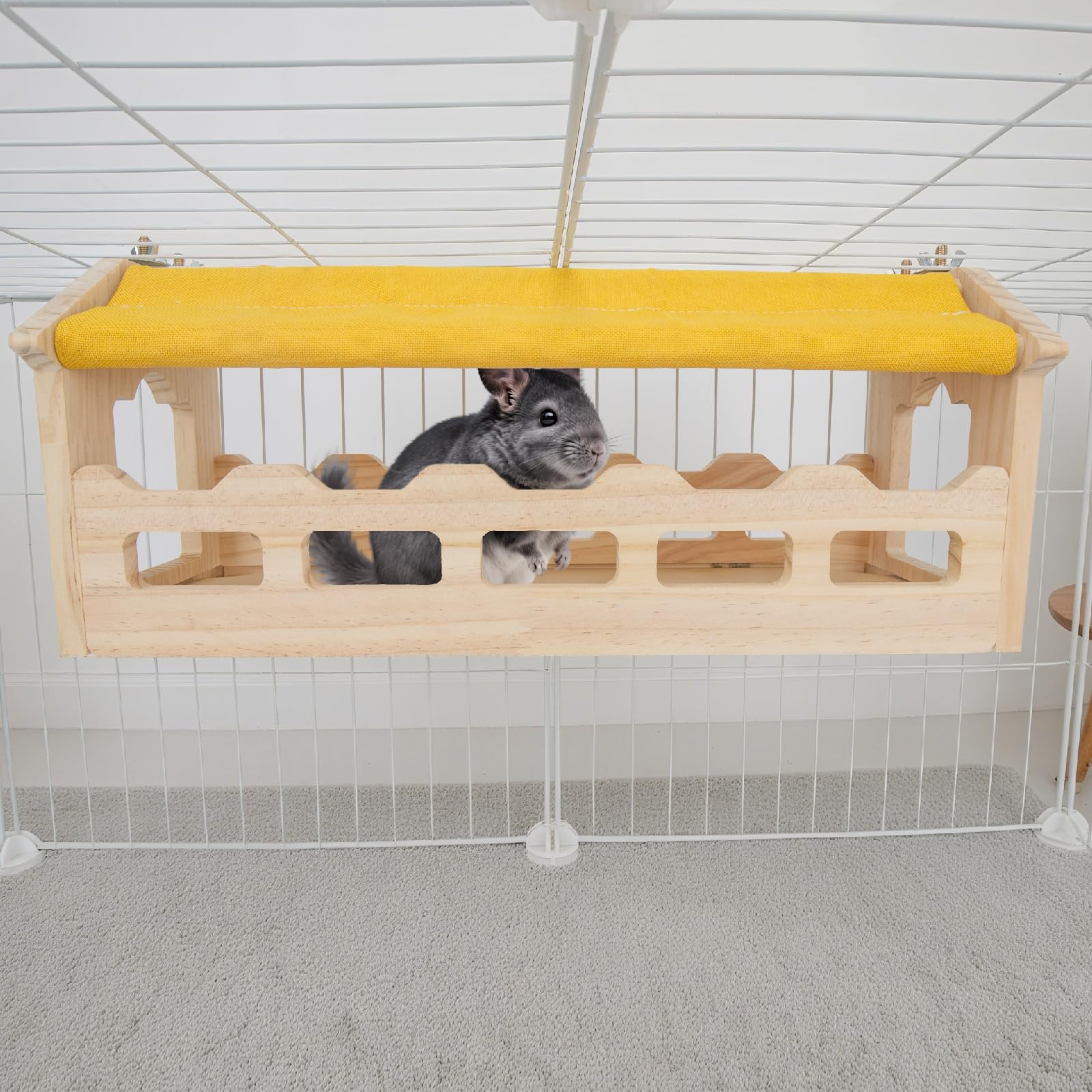 Compatibilité avec chinchillas et autres petits animaux BESNEW dans l'habitat.