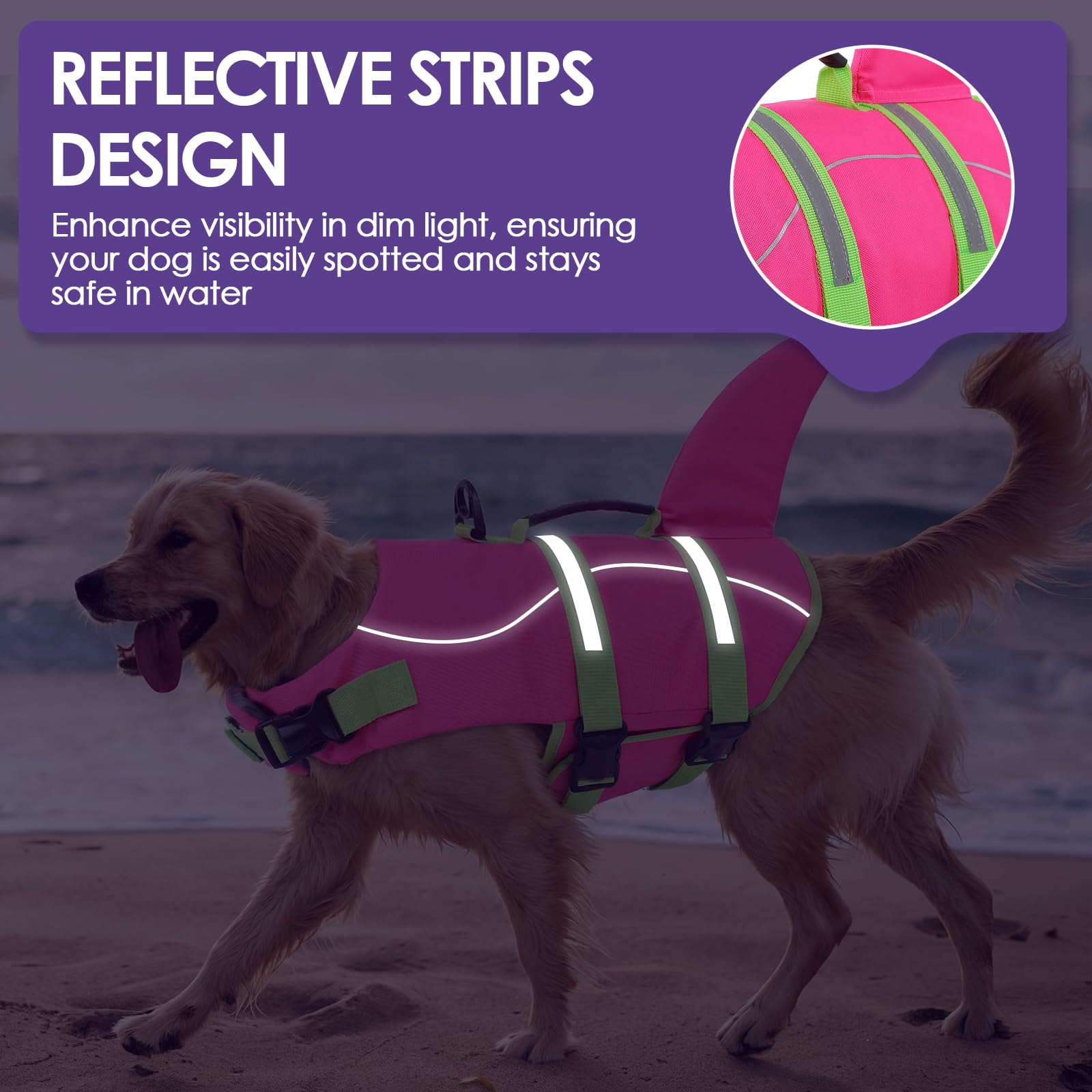 Design Requin du gilet pour un look chic et distinctif.