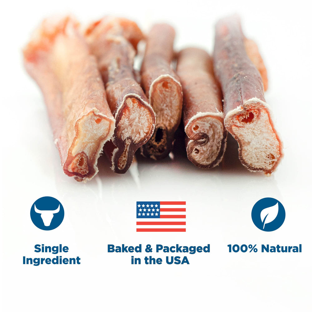 Best Bully Sticks soin dentaire, action de mastication pour nettoyer les dents