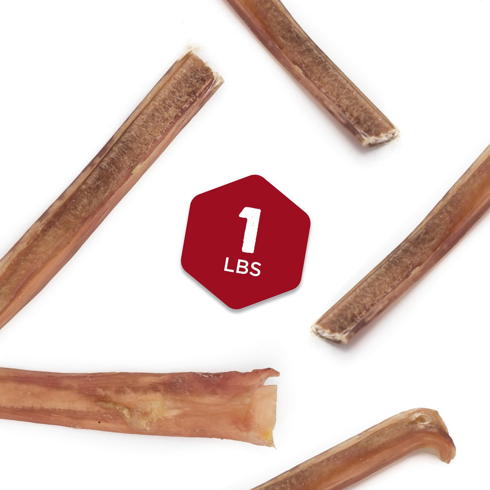 Best Bully Sticks emballage 16oz: récompense pour chiots et chiens actifs