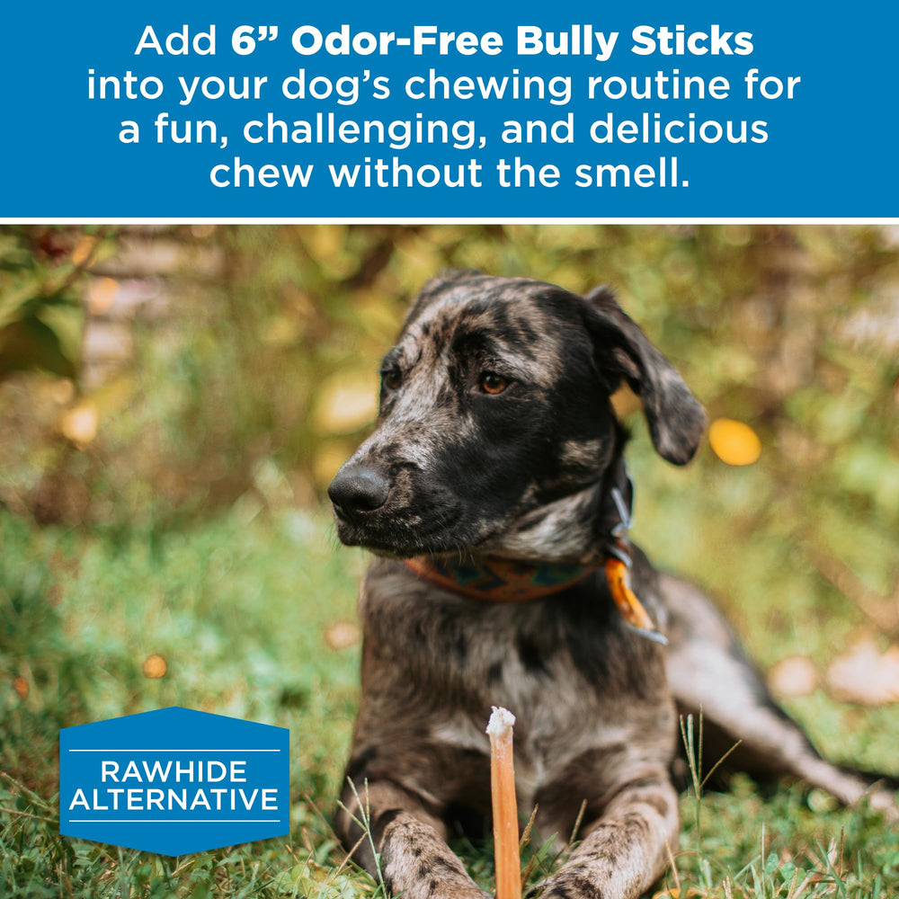 Best Bully Sticks: emballage en vrac pour grandes races et économie