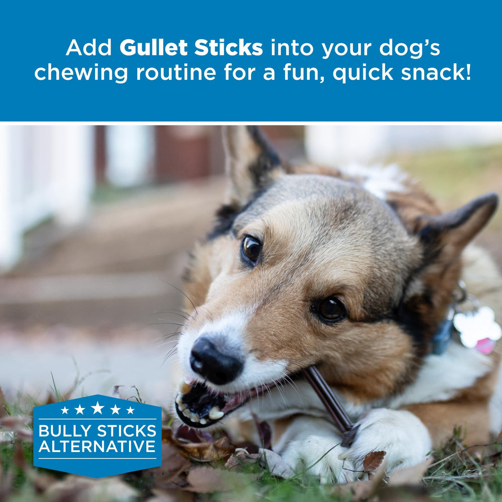 Best Bully Sticks goulet-securite-qualite produit sûr et de haute qualité.