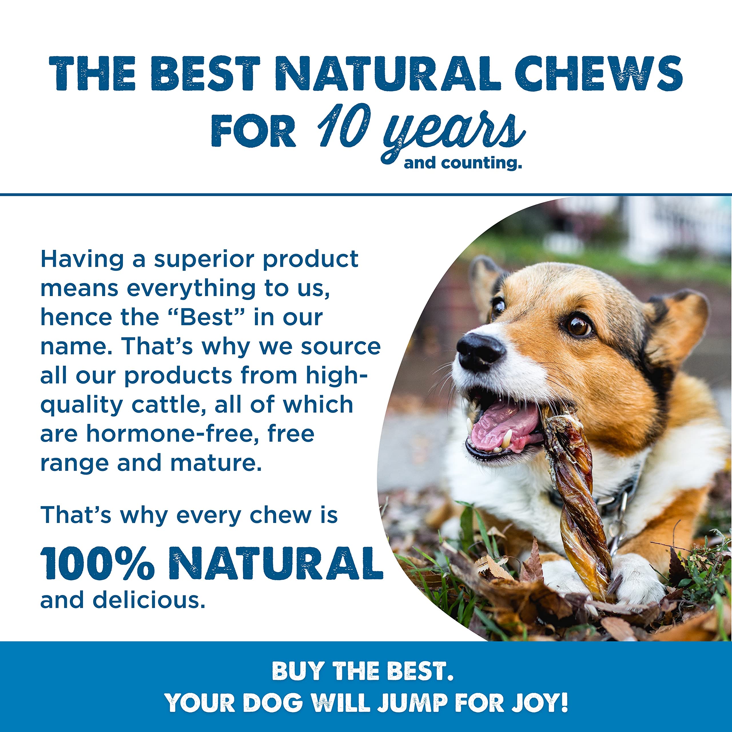 Best Bully Sticks alternative a la peau brute.
