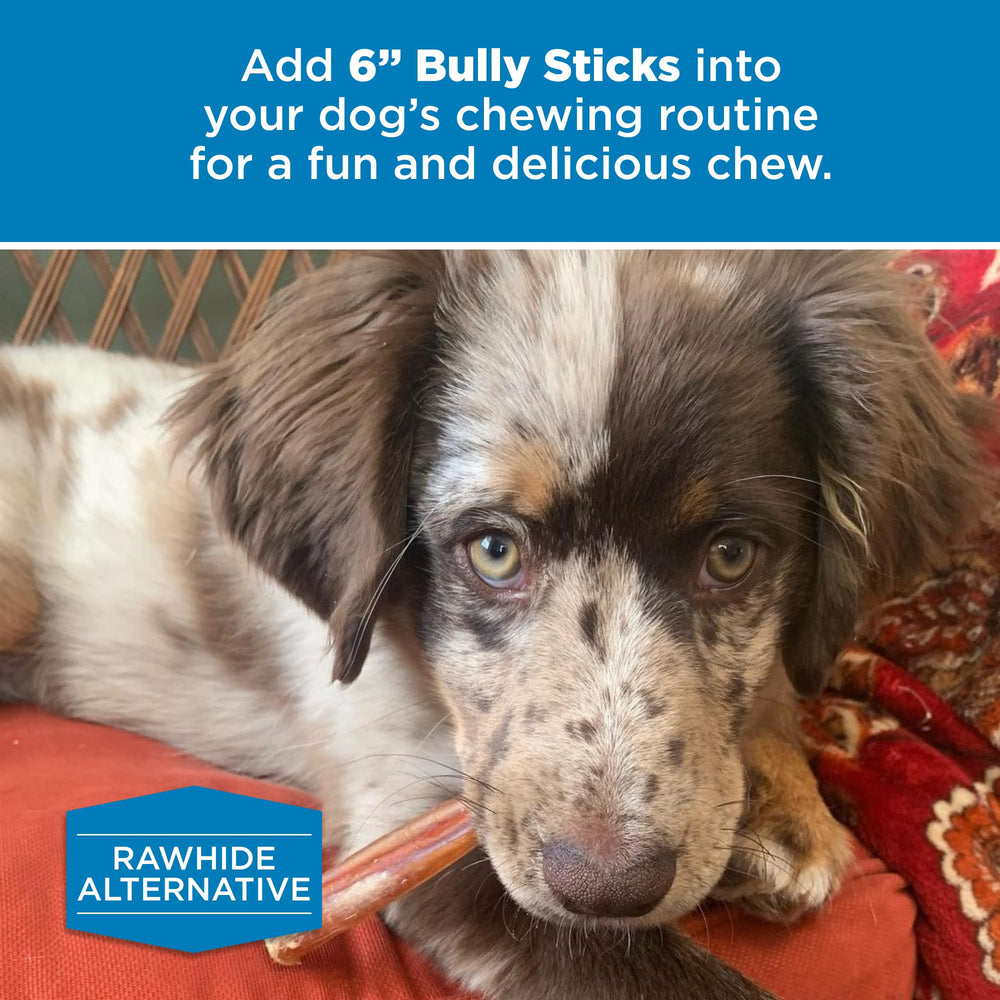 Best Bully Sticks: récompense quotidienne facile et naturelle.