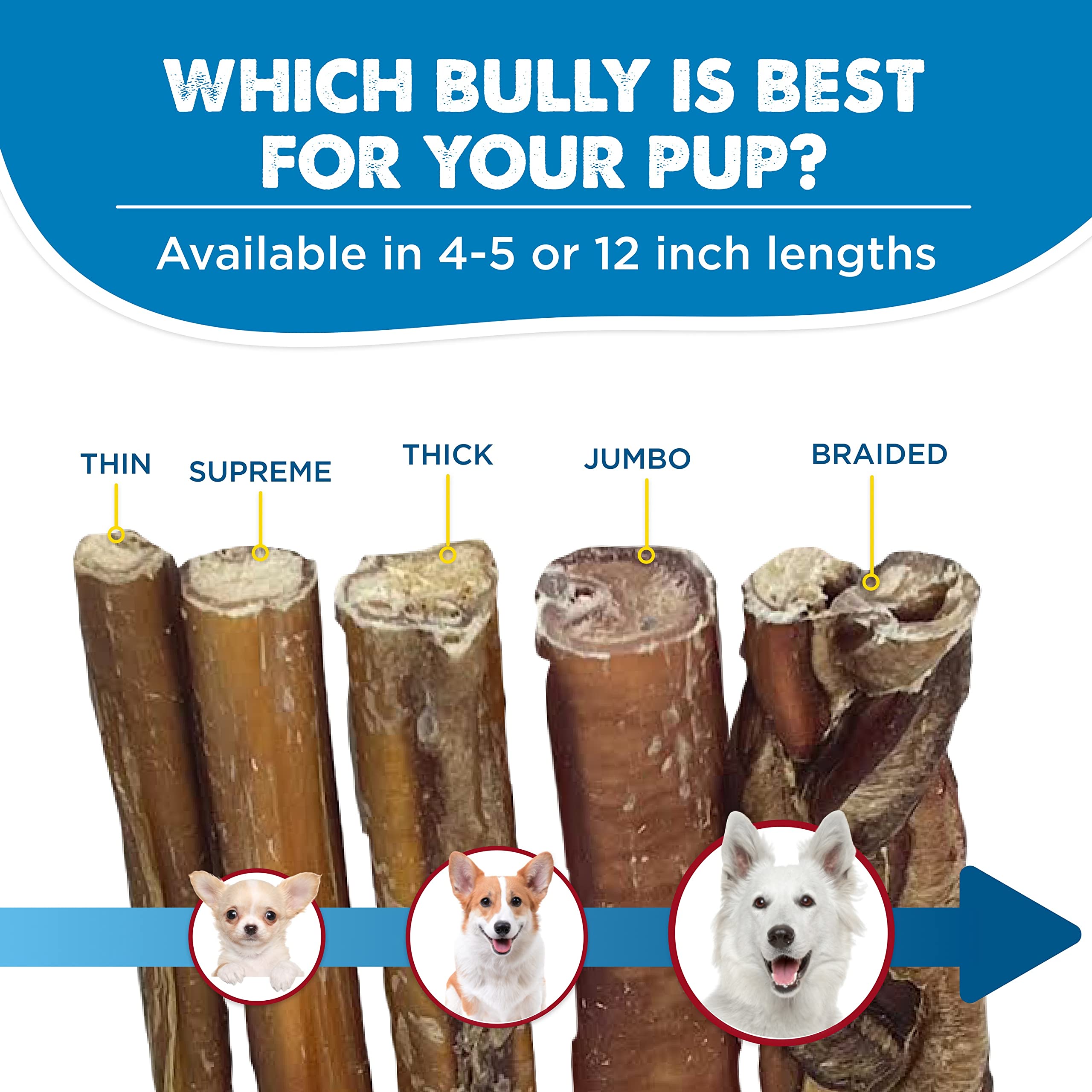 Best Bully Sticks odeur naturelle qui peut plaire au chien.