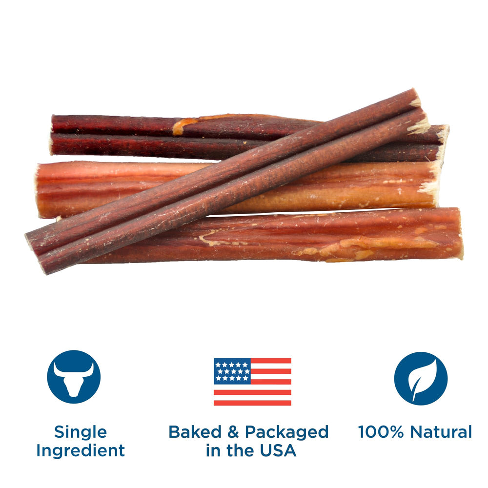 Best Bully Sticks: sans céréales, alternative pratique pour chiens