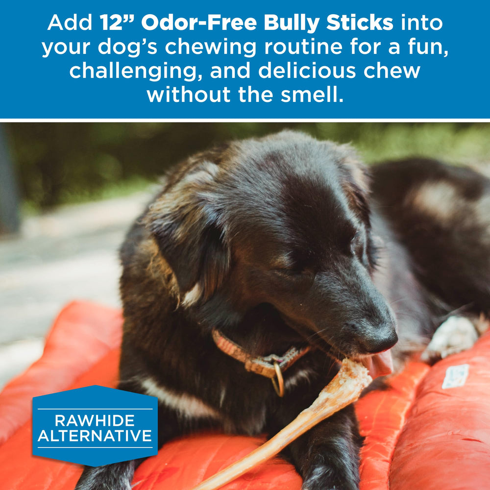 Best Bully Sticks sans hormones ni additifs artificiels