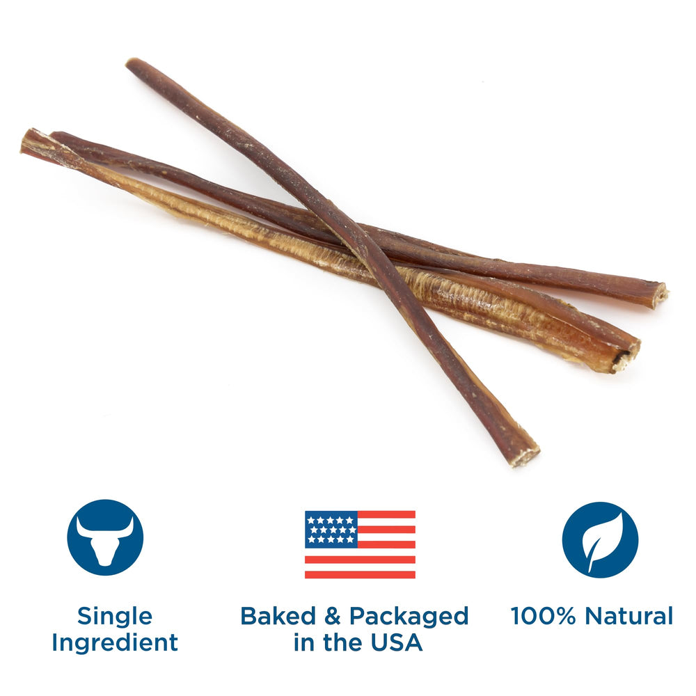 Best Bully Sticks santé dentaire: aide potentielle à la plaque lors du mâchage