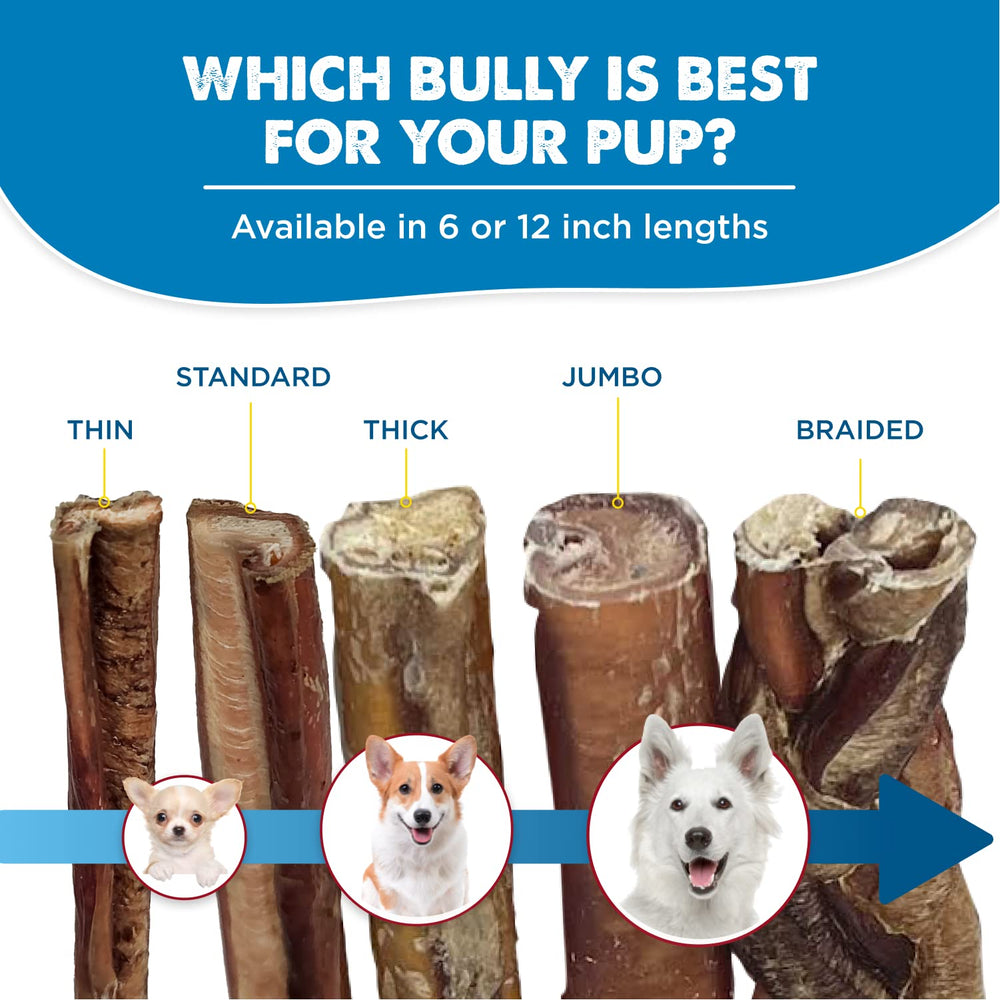 Best Bully Sticks: soin dentaire potentiel grâce à la mastication prolongée.