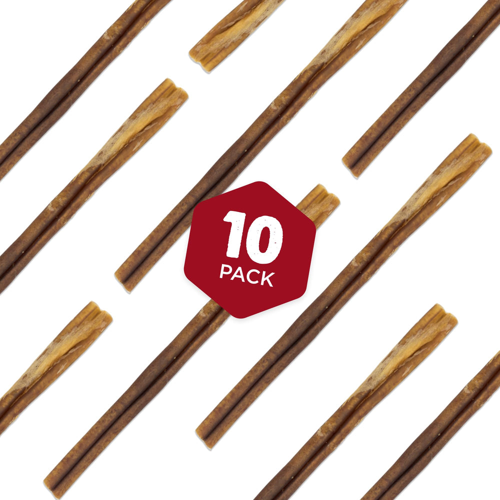 Best Bully Sticks Thick 12 pouces, gros plan sur la texture pour mâcher longtemps.