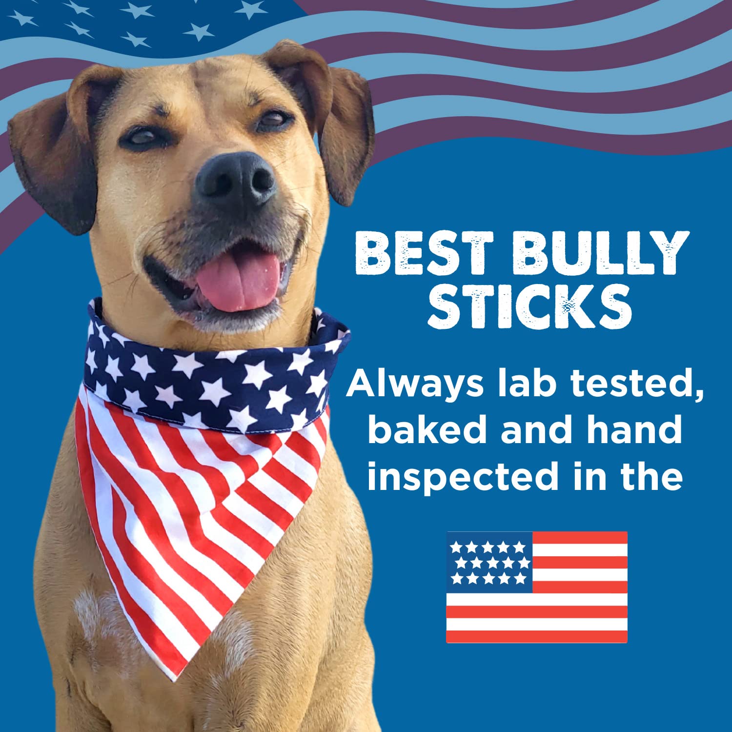 Best Bully Sticks Thick 12 pouces, grande récompense pour chiens de grande taille.