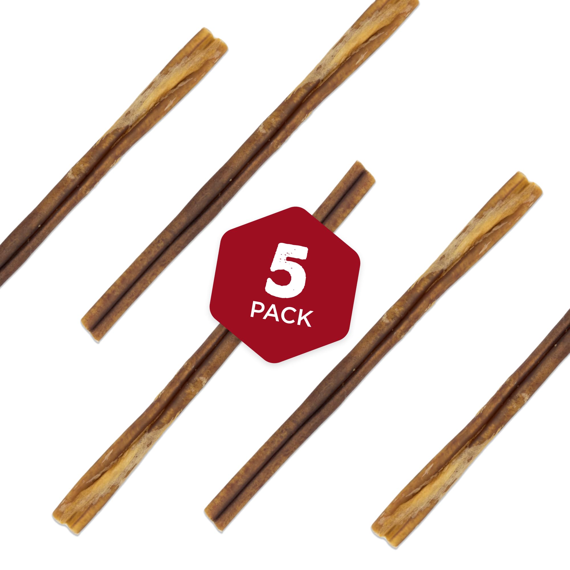 Chien mâchant un bâton épais Best Bully Sticks pour une activité longue et satisfaisante.