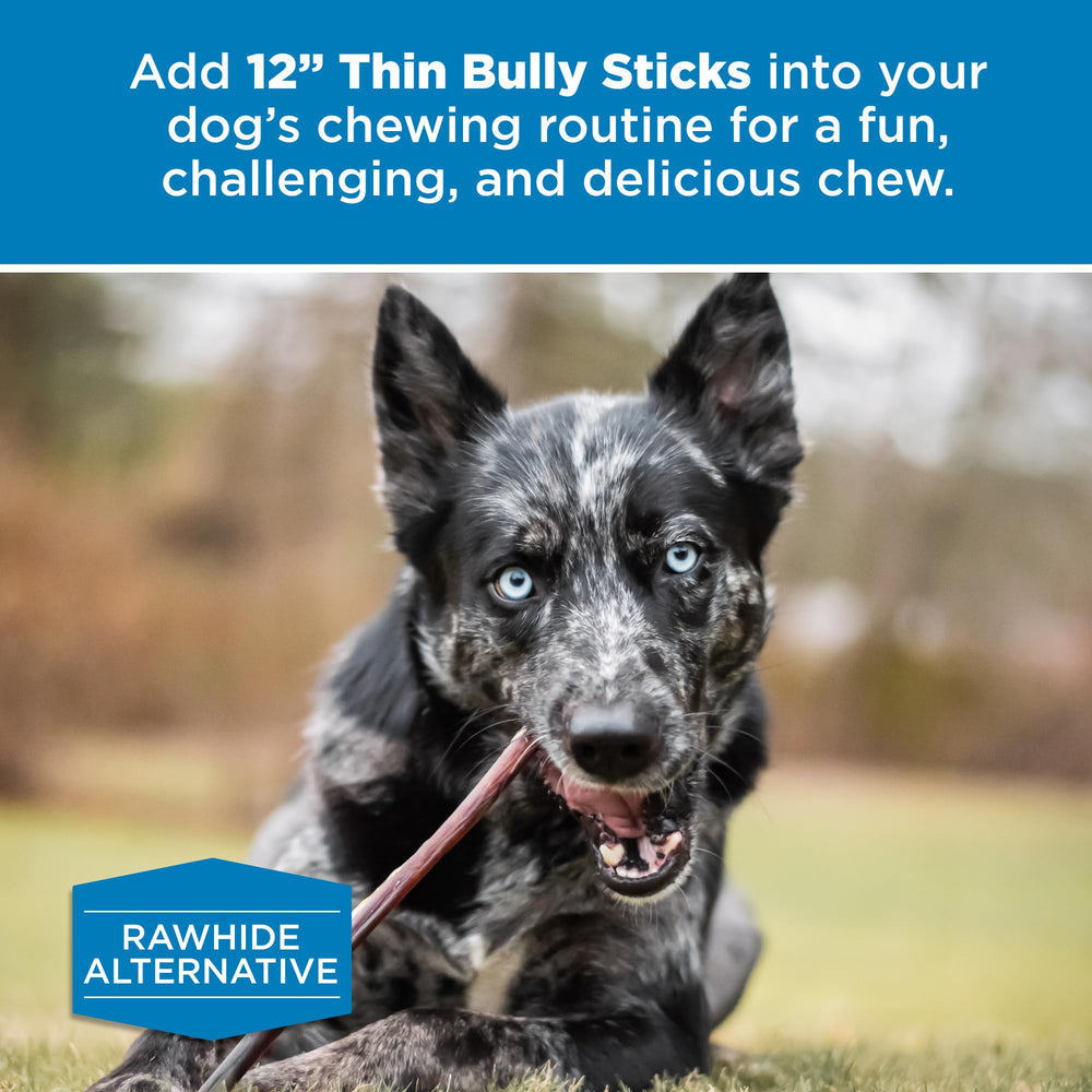 Best Bully Sticks: utilisation avec support pour chien, pratique lors des récompenses.
