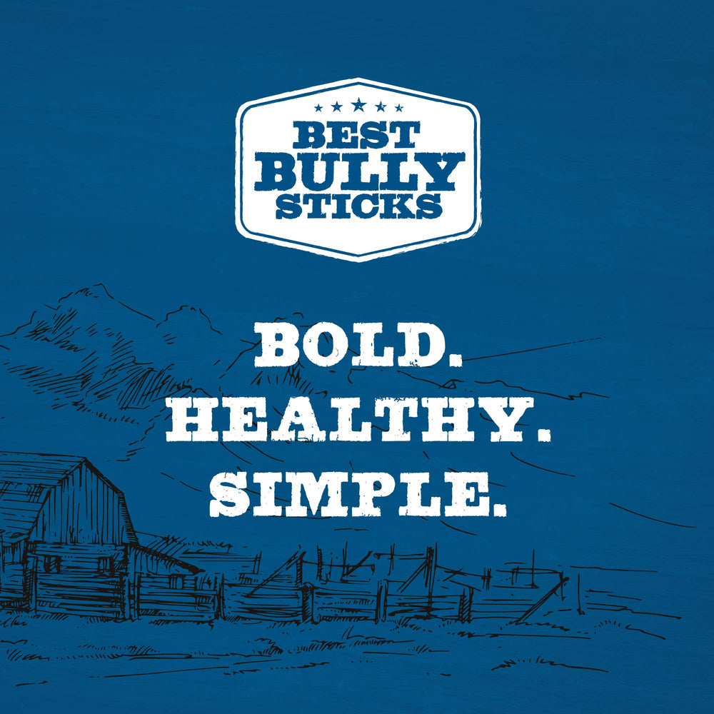 Best Bully Sticks: vessie-bœuf 5-6 pouces, soutien potentiel à la routine de mastication