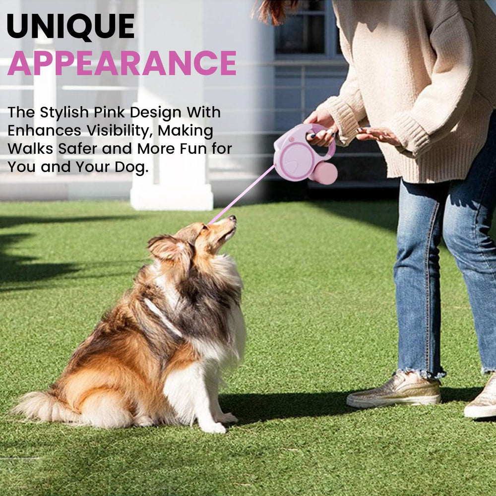 Best Dog Supplies ensemble de quatre accessoires essentiels pour chiens