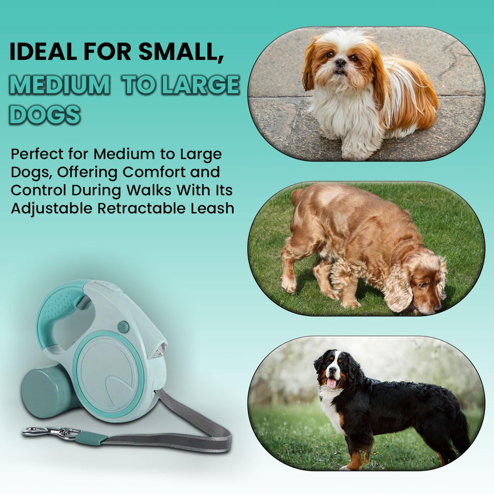 Compatibilité moyenne à grande Best Dog Supplies For the Love of Dogs, idéal pour plusieurs chiens.
