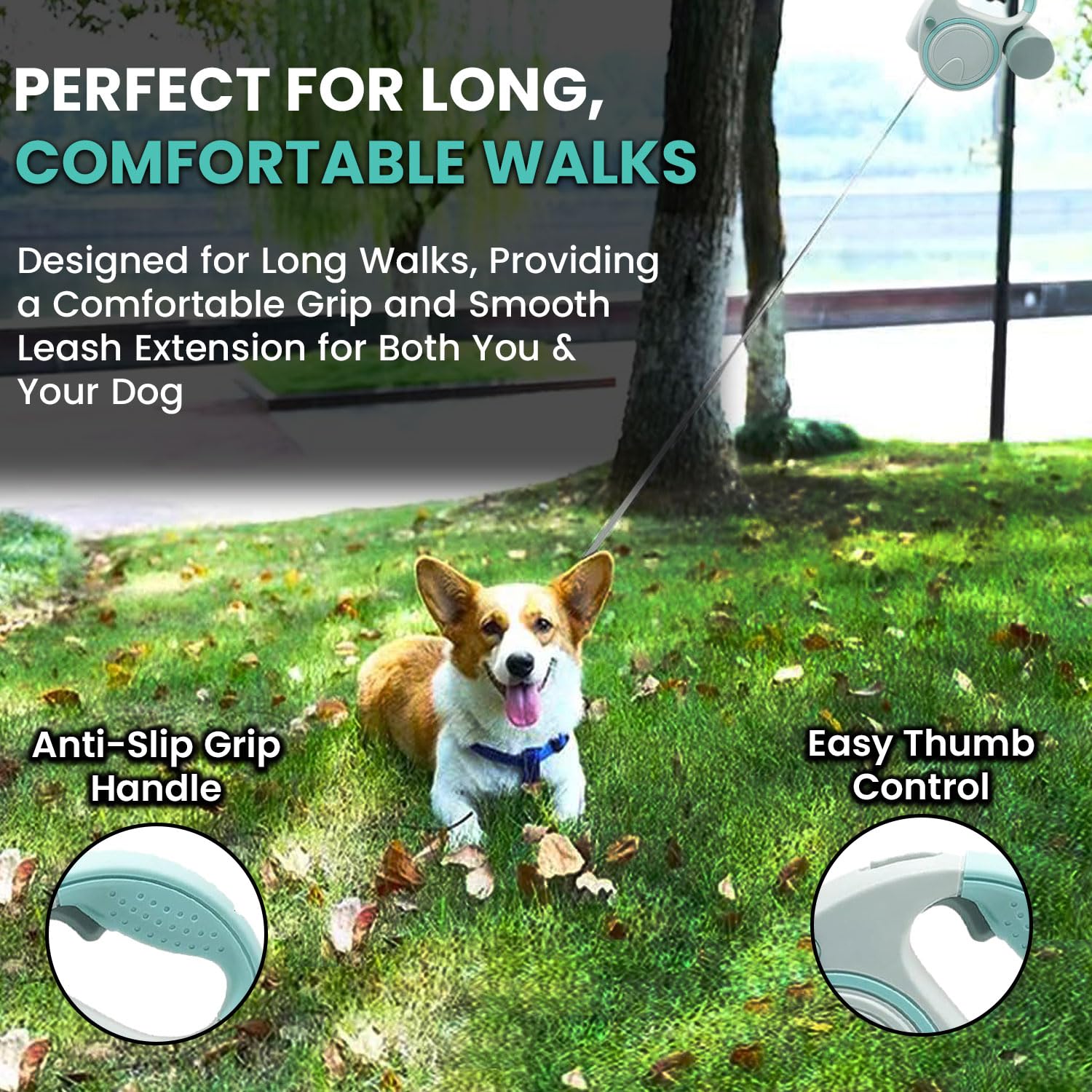Lampe intégrée Best Dog Supplies For the Love of Dogs, lumière utile en soirée.