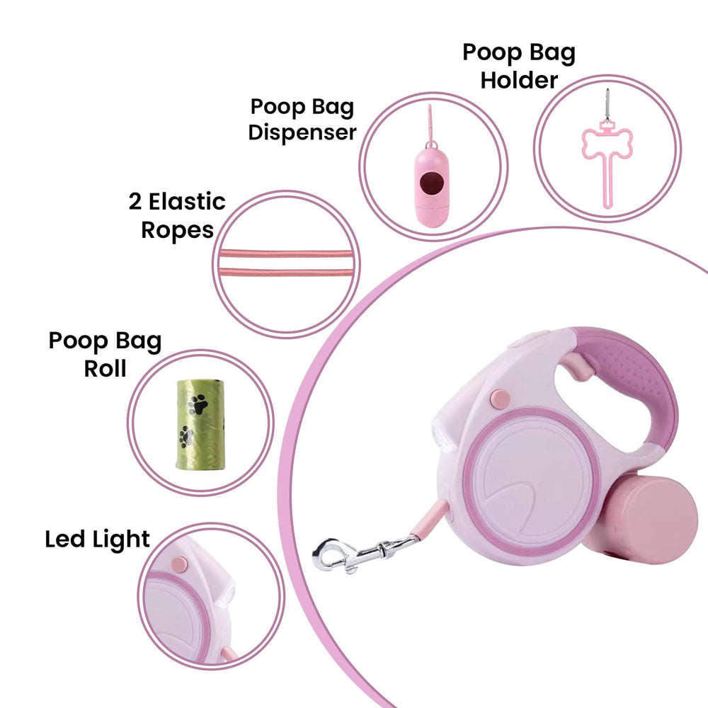 Best Dog Supplies lampe LED intégrée pour meilleure visibilité nocturne