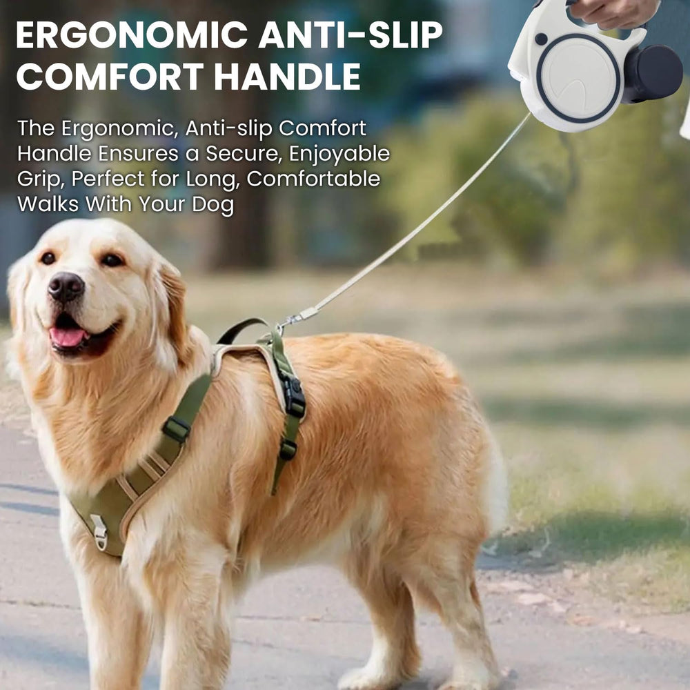 Best Dog Supplies utilisation simple pour toutes les promenades quotidiennes