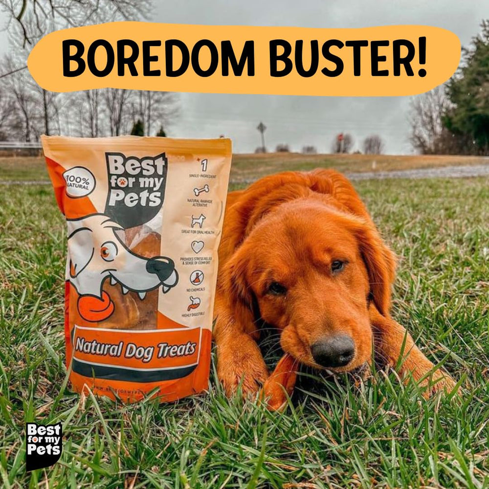 Best For My Pets chien-heureux-batonnet-boeuf, divertissement sain et naturel.