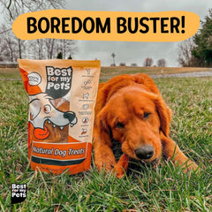 Best For My Pets chien-heureux-batonnet-boeuf, divertissement sain et naturel.