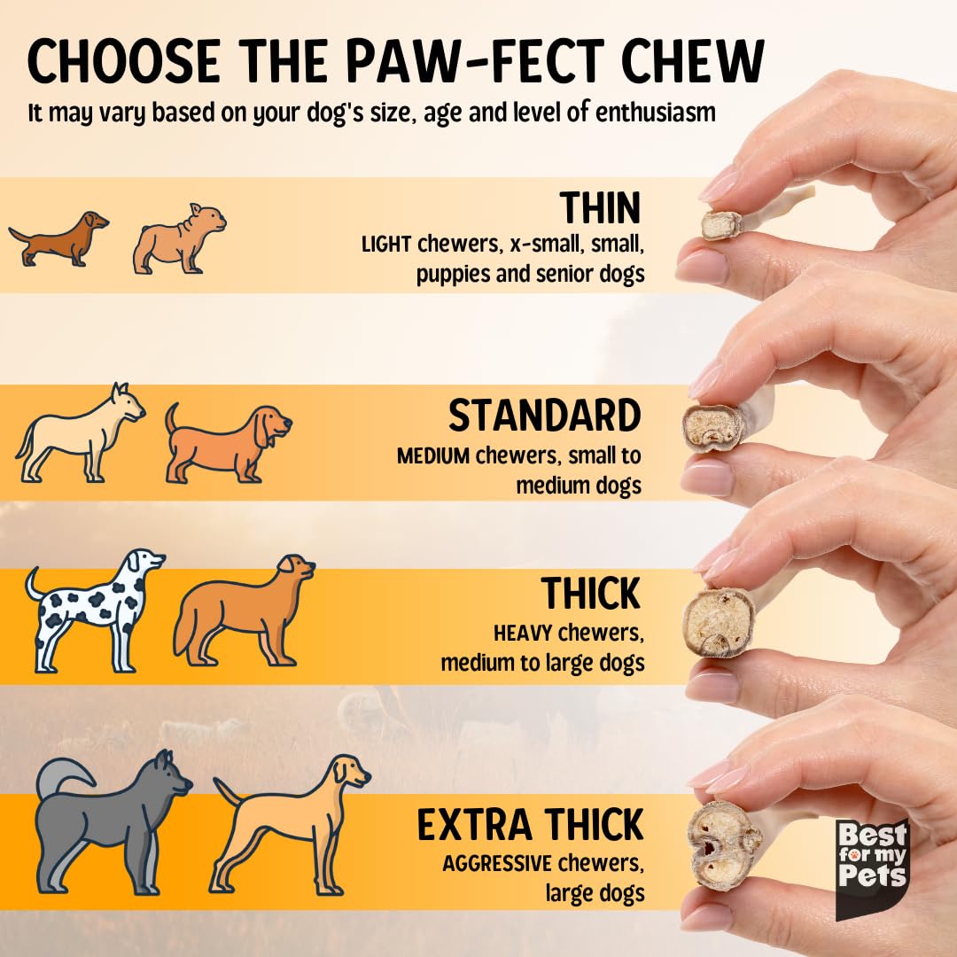 Best For My Pets fabrique-usa-controle-qualite, assurance qualité et traçabilité.