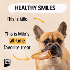 Best For My Pets Oreilles de porc entieres pour chien – snack digestible et savoureux