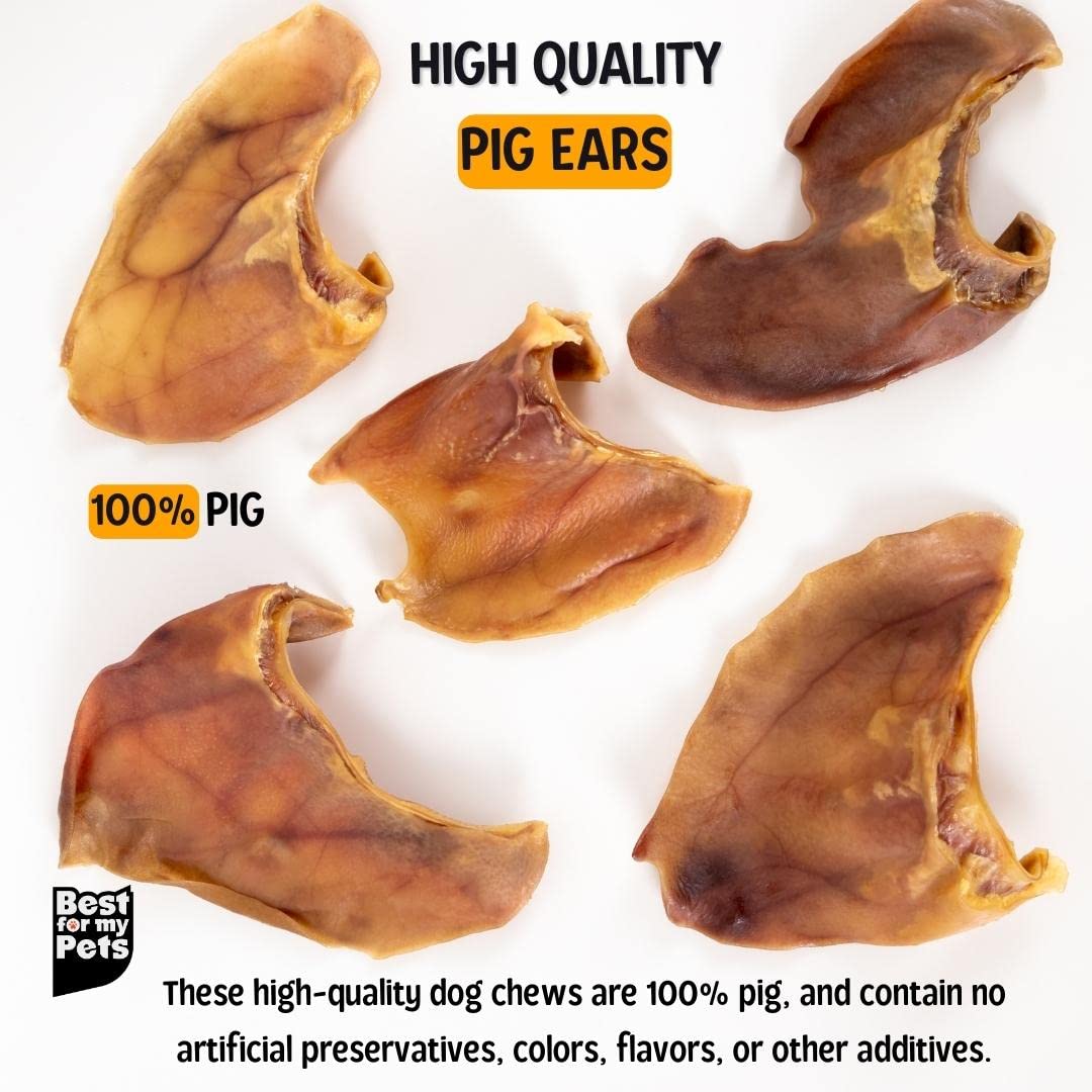 Best For My Pets Oreilles de porc entieres – lot bulk pratique pour familles et refuges
