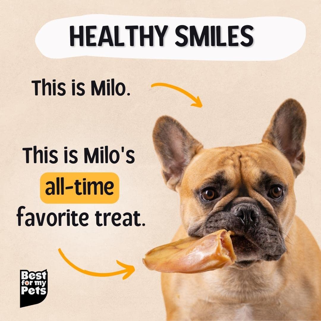 Best For My Pets - Oreilles de porc naturelles pour chien, sans additifs.